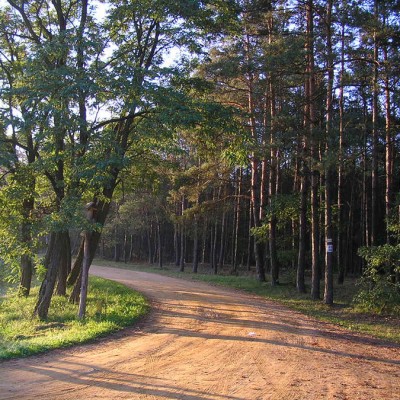 Kampinoski_Park Kampinoski_Park
